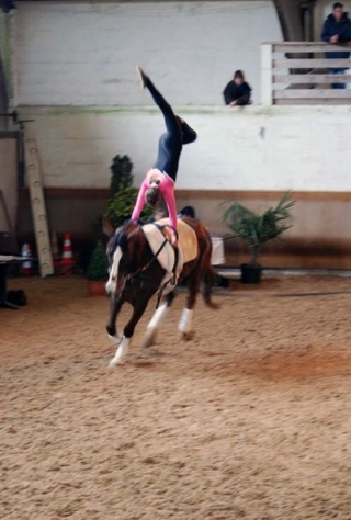 Voltige a cheval
